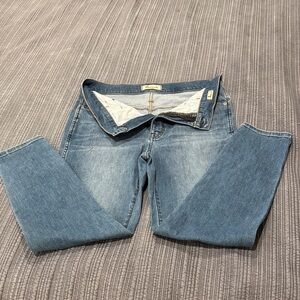 Madewell Women's 10” High Rise Skinny Crop Blue Jeans